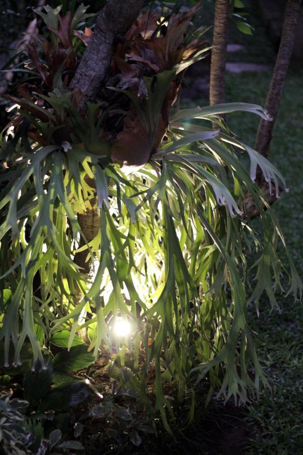 Sari House Ubud - Balinese Style Homestay Exteriér fotografie